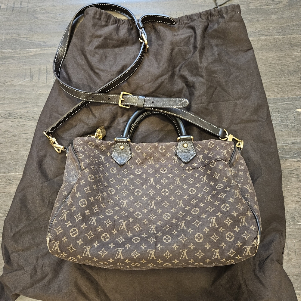 Louis Vuitton Speedy Cloth Handbag